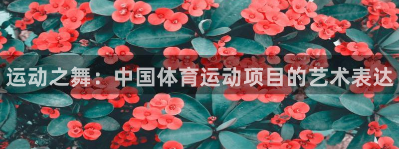 oety欧亿体育官网下载开户：运动之舞：中国体育运动项目的艺