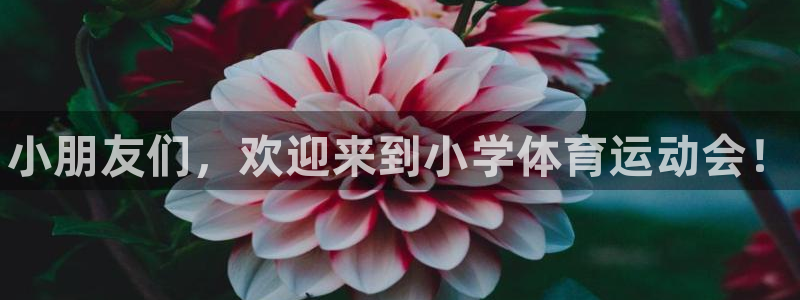 欧亿体育官方正版app集团官网首页：小朋友们，欢迎来到小学体