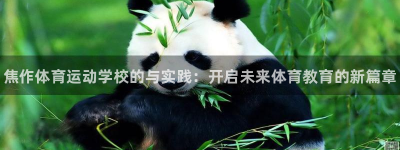 海南oety欧亿体育官网下载：焦作体育运动学校的与实践：开启