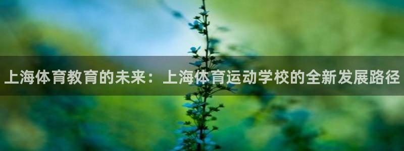 欧亿体育官方正版app集团：上海体育教育的未来：上海体育运动