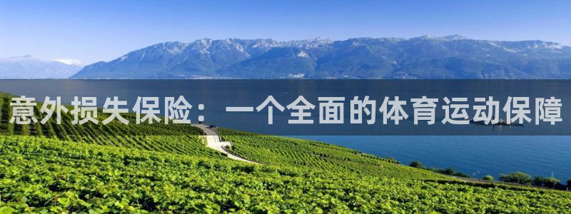 oety欧亿体育官网下载招商电话号码查询：意外损失保险：一个