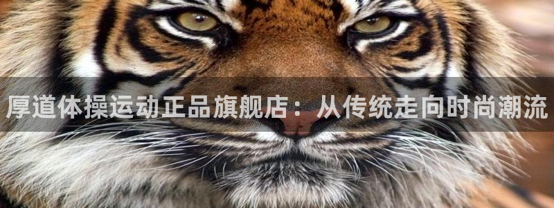 oety欧亿体育官网下载平台注册流程视频：厚道体操运