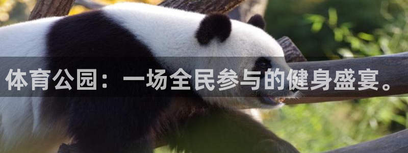 oety欧亿体育官网下载招商电话地址查询