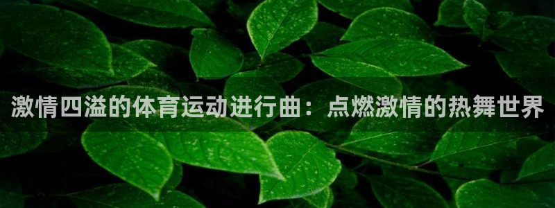 欧亿体育官方正版app科技