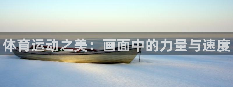 oety欧亿体育官网下载平台APP：体育运动之美：画面中的力