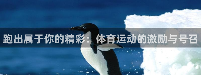 oety欧亿体育官网下载招商电话号码：跑出属于你的精彩：体育