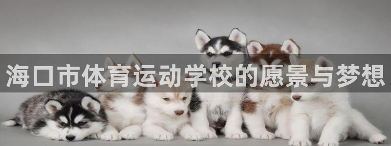 欧亿体育官方正版app娱乐下载：海口市体育运动学校的愿景与梦