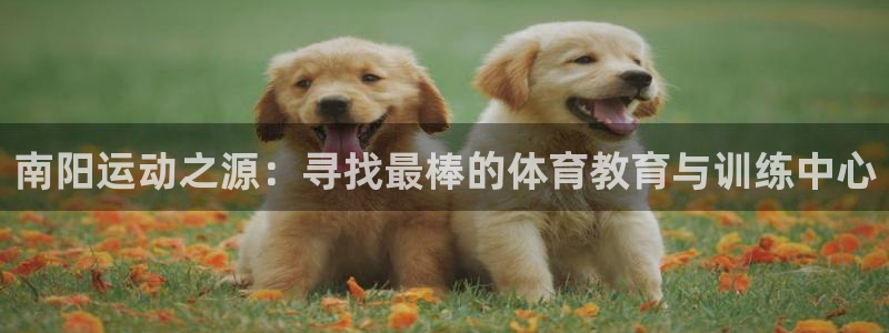 德国欧亿体育官方正版app集团：南阳运动之源：寻找最棒的体育