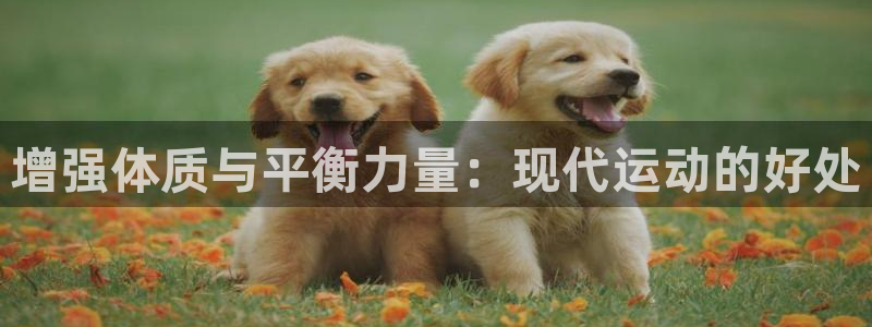 oety欧亿体育官网下载平台APP:增强体质与平衡力量:现代