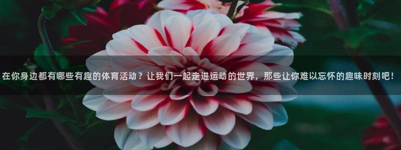 注册欧亿体育官方正版app