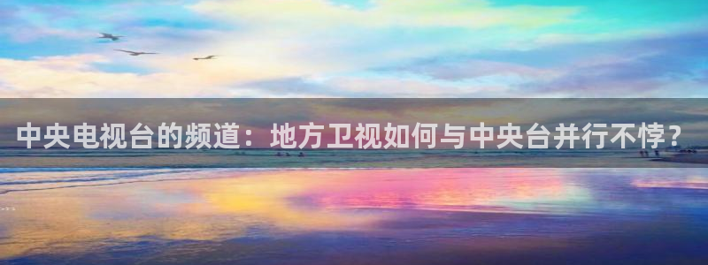 蜘蛛直播nba免费观看：中央电视台的频道：地方卫视如何与中央台并行不悖？