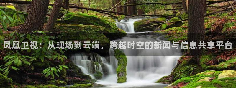 蜘蛛体育可可：凤凰卫视：从现场到云端，跨越时空的新闻与信息共享平台