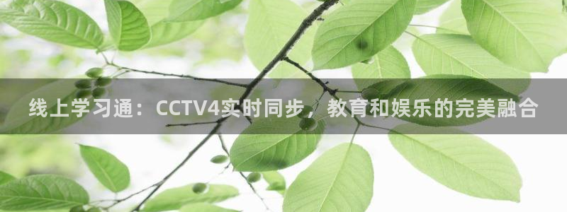蜘蛛直播体育免费观看：线上学习通：CCTV4实时同步，教育和娱乐的完美融合