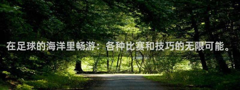 蜘蛛体育免费：在足球的海洋里畅游：各种比赛和技巧的无限可能。