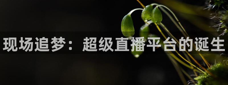 蜘蛛nba直播免费观看：现场追梦：超级直播平台的诞生