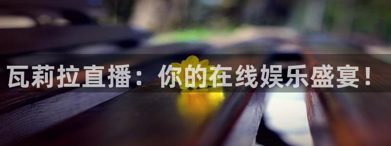 蜘蛛直播体育免费观看：瓦莉拉直播：你的在线娱乐盛宴！