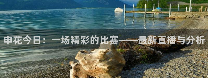 蜘蛛nba免费直播在线观看高清：申花今日：一场精彩的比赛——最新直播与分析