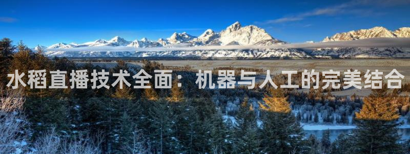 蜘蛛体育免费：水稻直播技术全面：机器与人工的完美结合