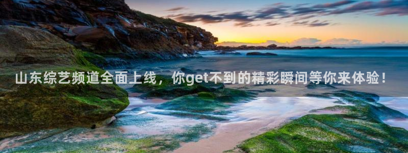 蜘蛛体育免费直播：山东综艺频道全面上线，你get不到的精彩瞬间等你来体验！