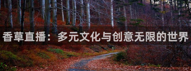 nba蜘蛛免费直播：香草直播：多元文化与创意无限的世界
