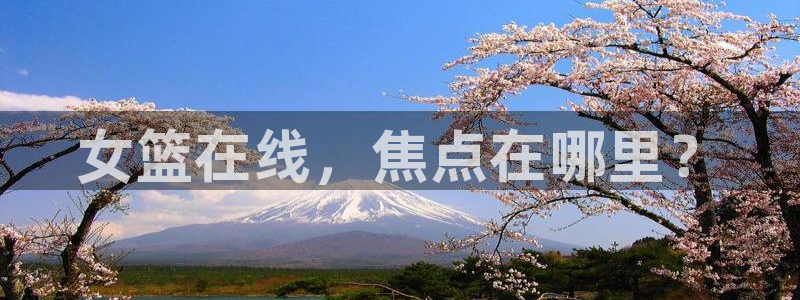 蜘蛛直播体育免费：女篮在线，焦点在哪里？